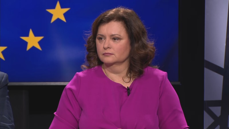 Nemá co vyjednávat za vládu, kritizuje Jermanová Turka. Manévr s Tarabou má za chybu i David