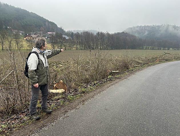 Místo aleje pařezy. Lidé v Českém ráji kritizují kácení u silnic