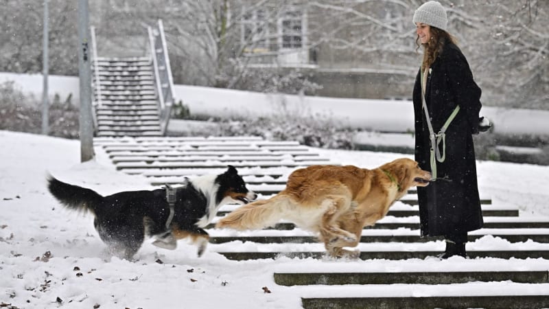 Sněhová nadílka v Česku: Sledujte RADAR, místy napadnou až desítky centimetrů