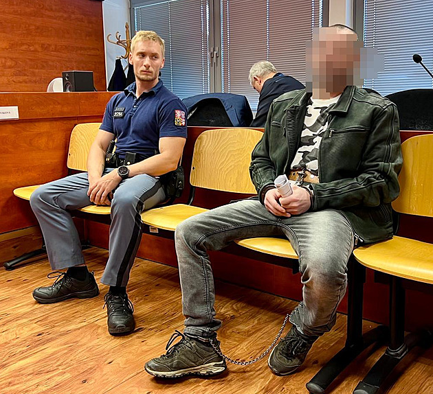 Doživotí a detence. Soud potvrdil muži trest za vraždu otce a malého syna