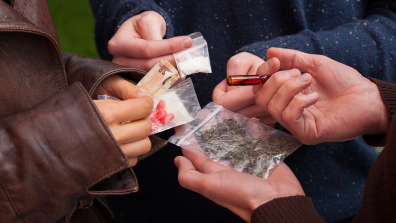 Kratom mi vzal dceru, truchlí matka z Uničovska. Počet obětí zeleného prášku v Česku roste