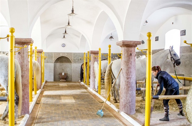 Nekvalifikovaní kantoři a úroveň základky, tvrdí inspekce. Ředitelka rezignovala