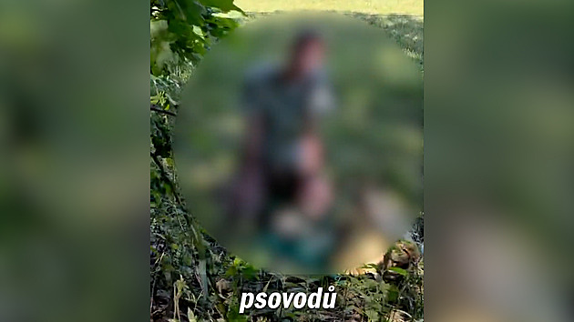 Třináctiletý chlapec si zkoušel přežití v lese, hledaly ho drony i vrtulník