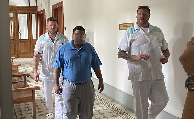 Muž na pervitinu ubodal bratra a v otci zlomil nůž. Žalobce žádá vězení i detenci